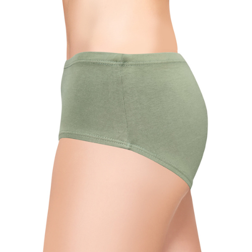Lady Care Carens Pack of 3 Hipster Briefs Everyday Wear