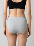 High Rise Full Coverage Cotton Elastane Hipster Bharti - Assorted (Pack of 3)